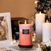 Picture of Black Currant & Rose, Home Lights 3-Layer Highly Scented Candles 